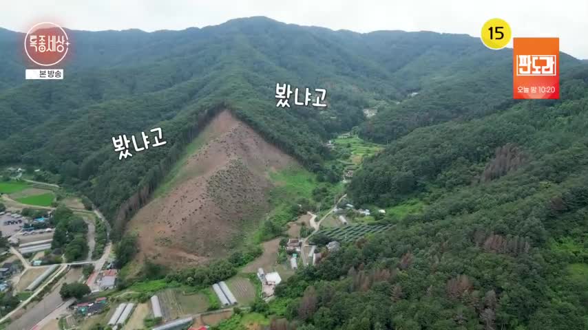 특종세상 2026-08-06