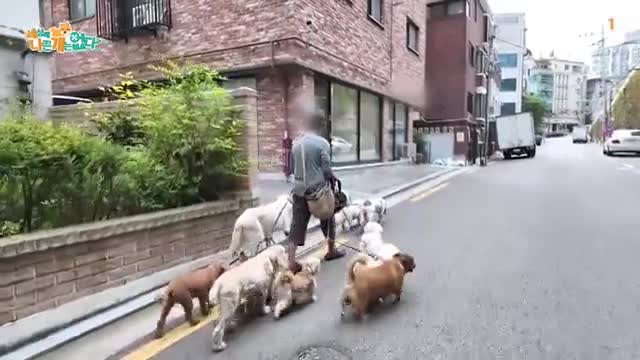 세상에 나쁜 개는 없다 시즌 4 2025-10-18