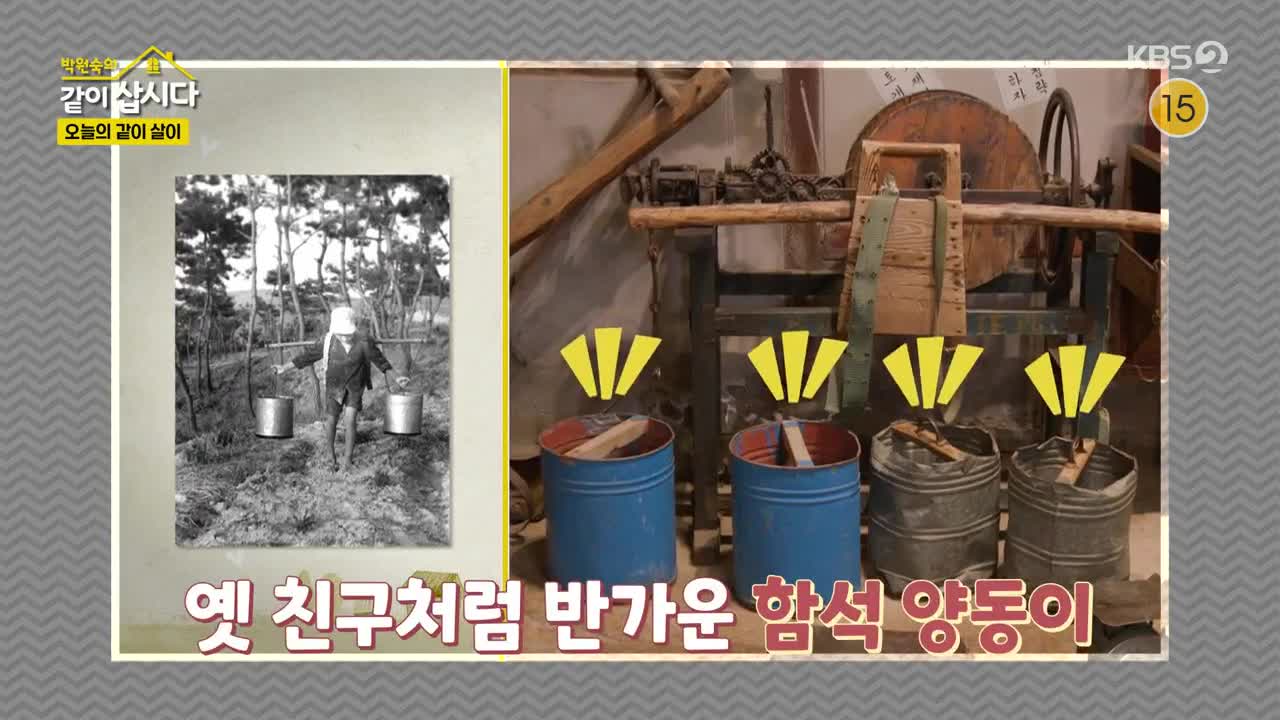 박원숙의 같이 삽시다 3 2025-05-12