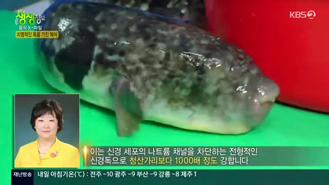 2TV 생생정보 2025-01-09