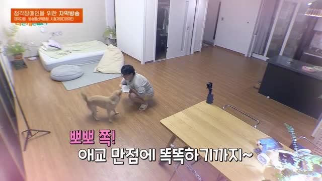 세상에 나쁜 개는 없다 시즌 4 2025-08-16