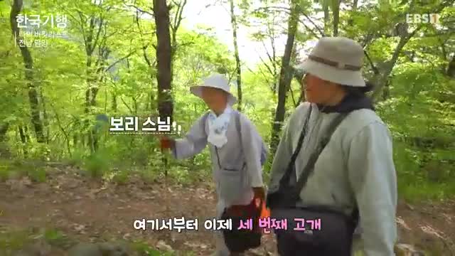 한국기행 2025-05-20