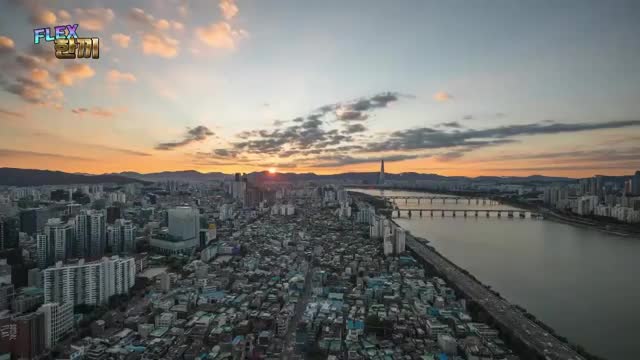 FLEX 한끼 제6회