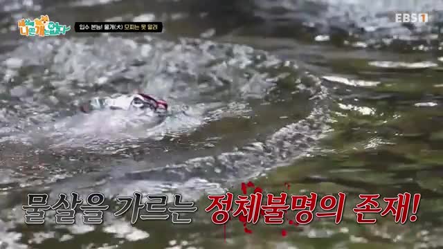 세상에 나쁜 개는 없다 시즌 4 2025-08-23