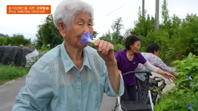 한국기행 2025-09-25