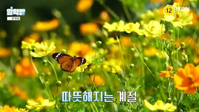 알약방 2025-05-08