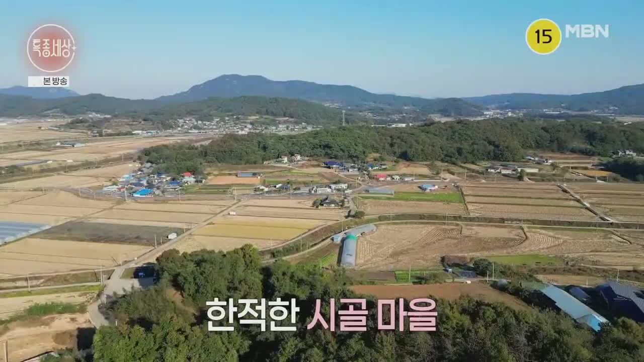 특종세상 2025-11-13