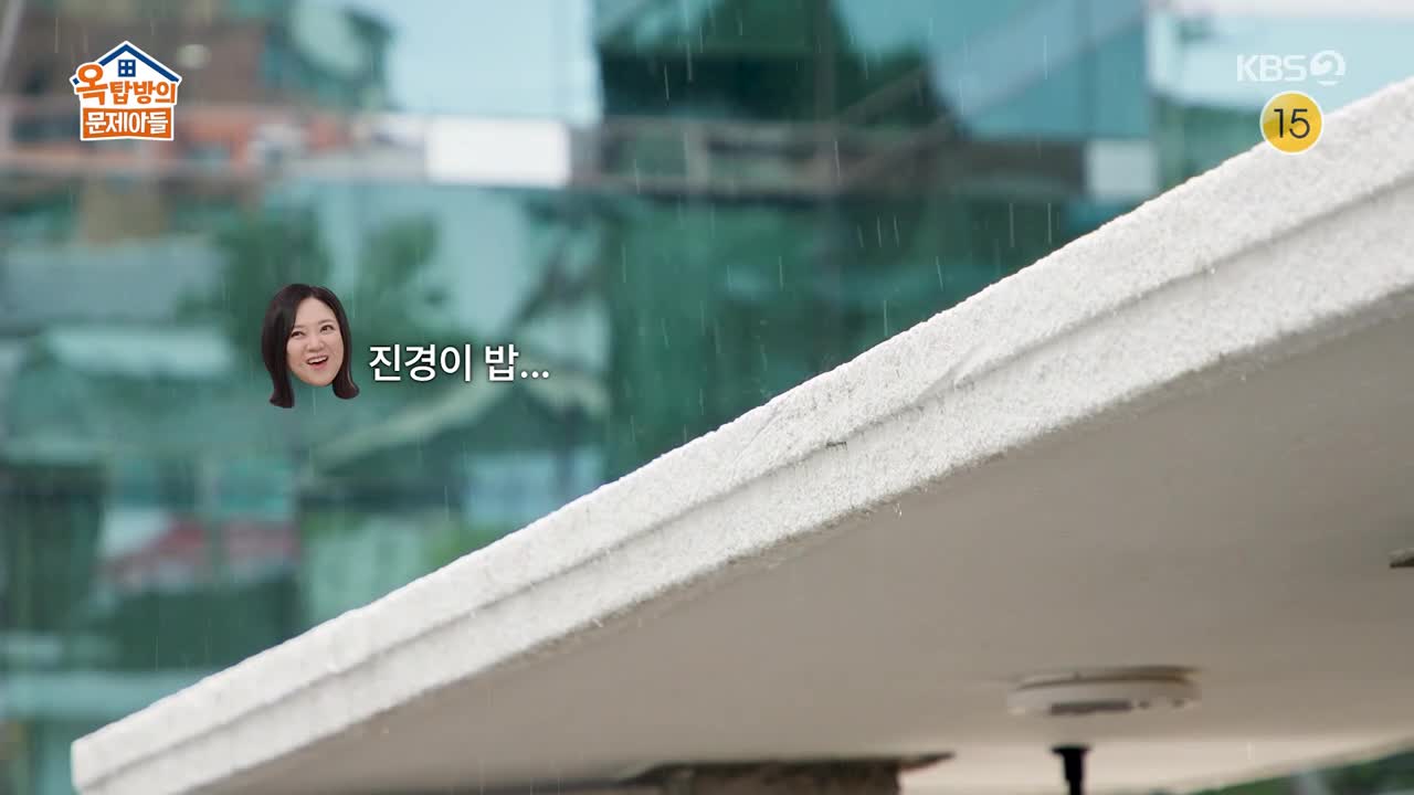 옥탑방의 문제아들 제278회