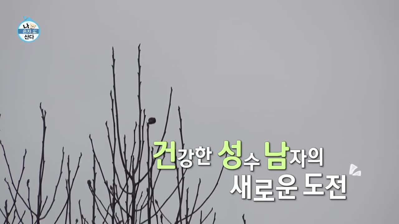 나혼자 산다 제637회