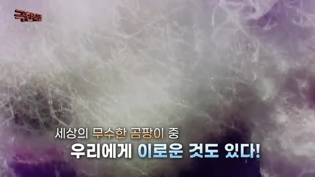 극한직업 2025-03-22