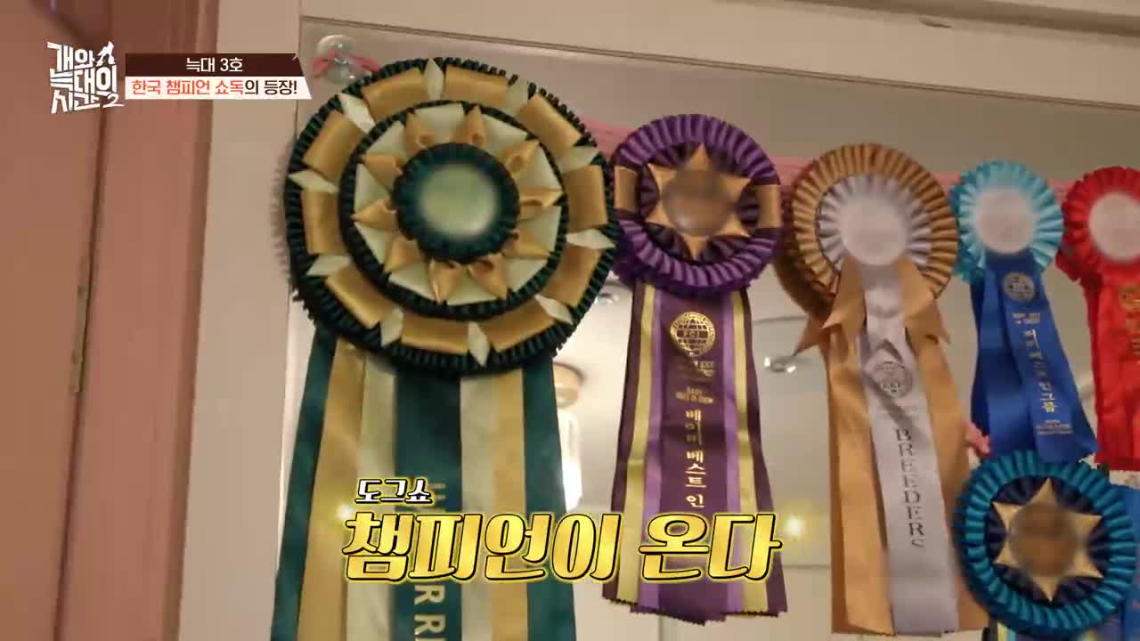 개와 늑대의 시간 시즌2 2026-02-11