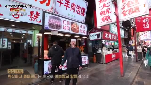 세계테마기행 2025-03-12
