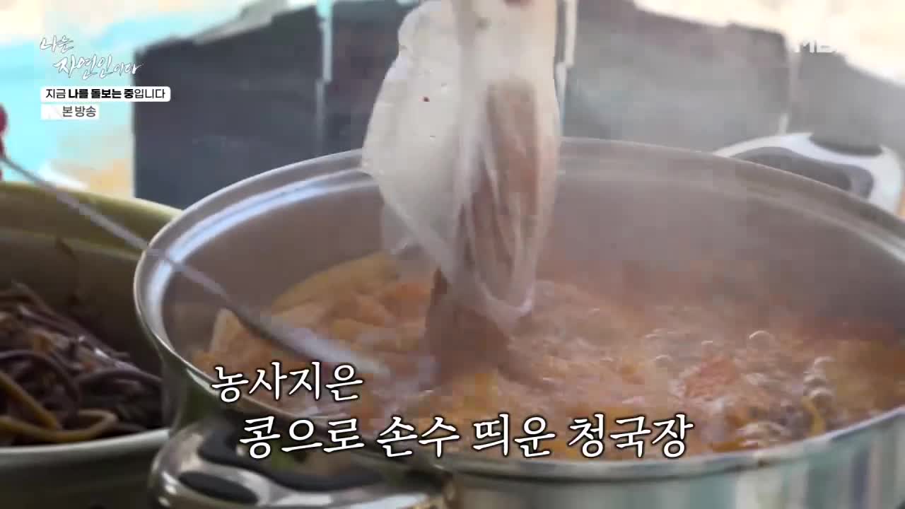 나는 자연인이다 2026-04-20
