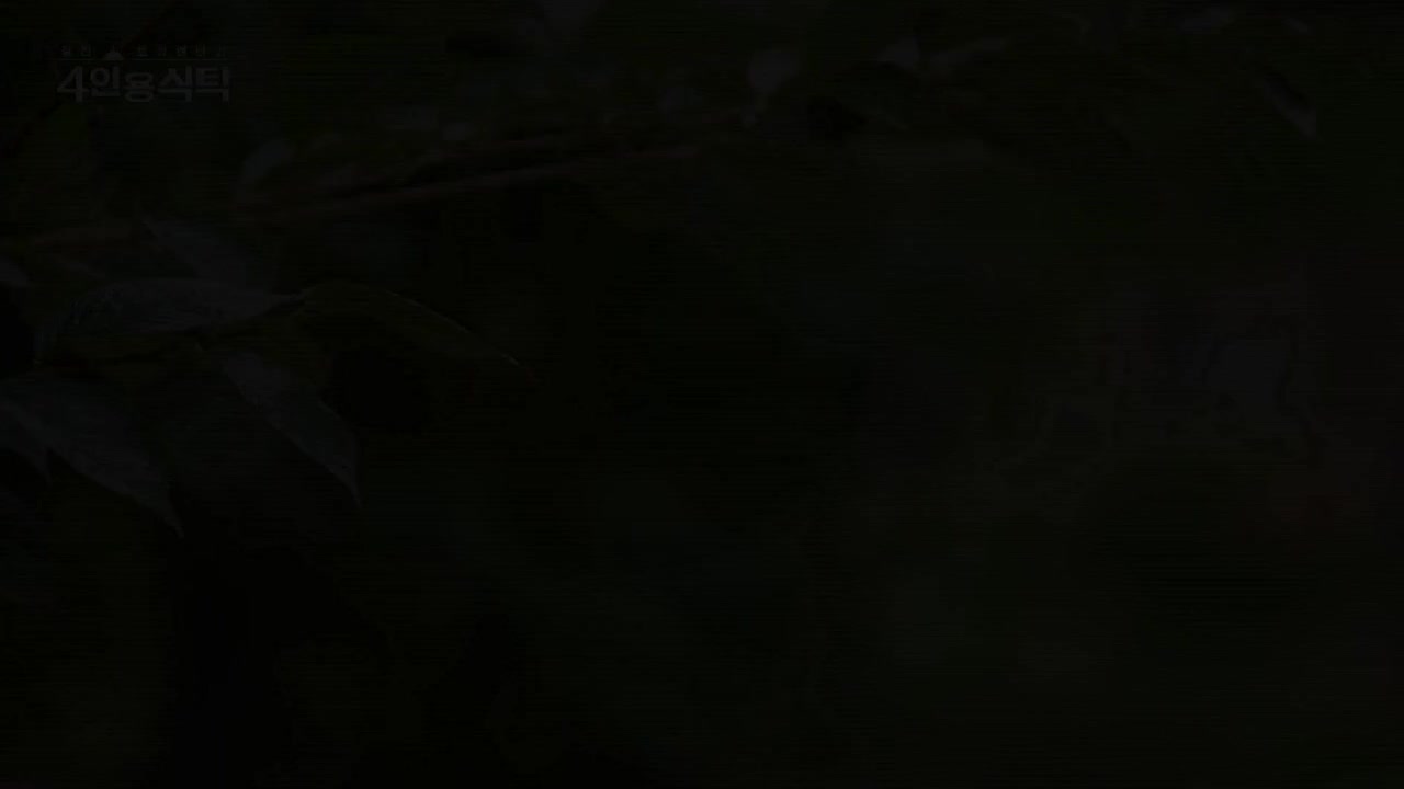 절친 토큐멘터리 4인용식탁 제104회
