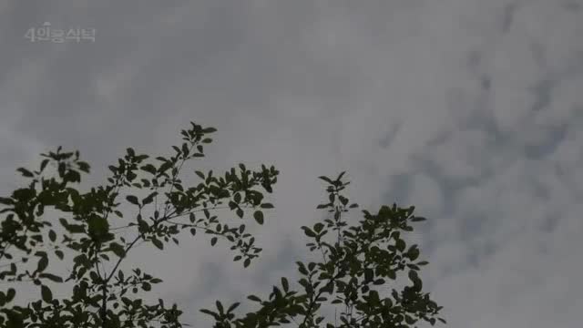절친 토큐멘터리 4인용식탁 제96회