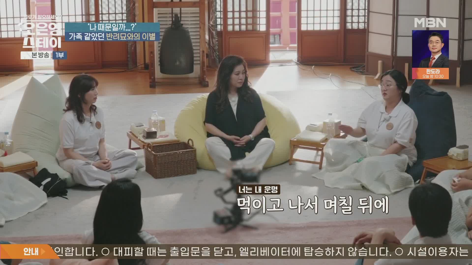 오은영 스테이 제8회