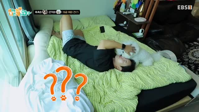 세상에 나쁜 개는 없다 시즌 4 2025-11-08