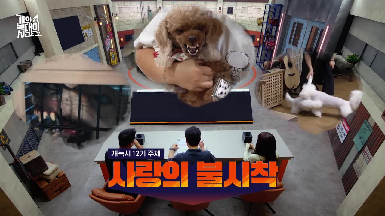개와 늑대의 시간 시즌2 2026-09-16
