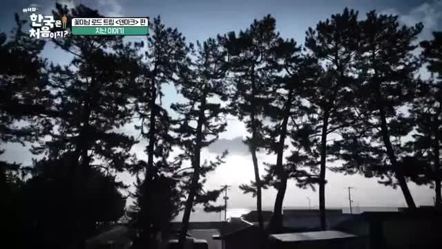 어서와~ 한국은 처음이지 시즌2 2025-06-12