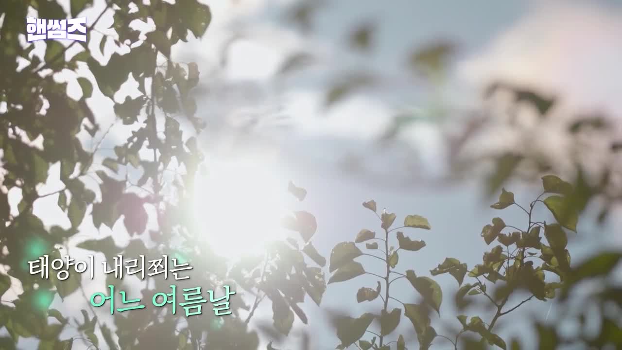 핸썸가이즈 제39회