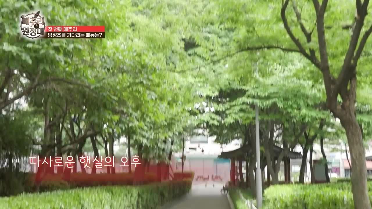 메추리 원정대 제4회