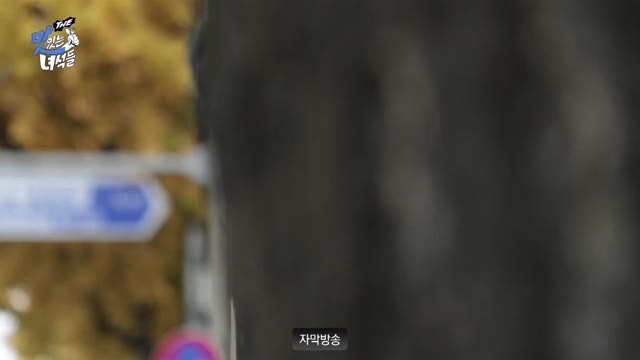 THE 맛있는 녀석들 2025-11-28