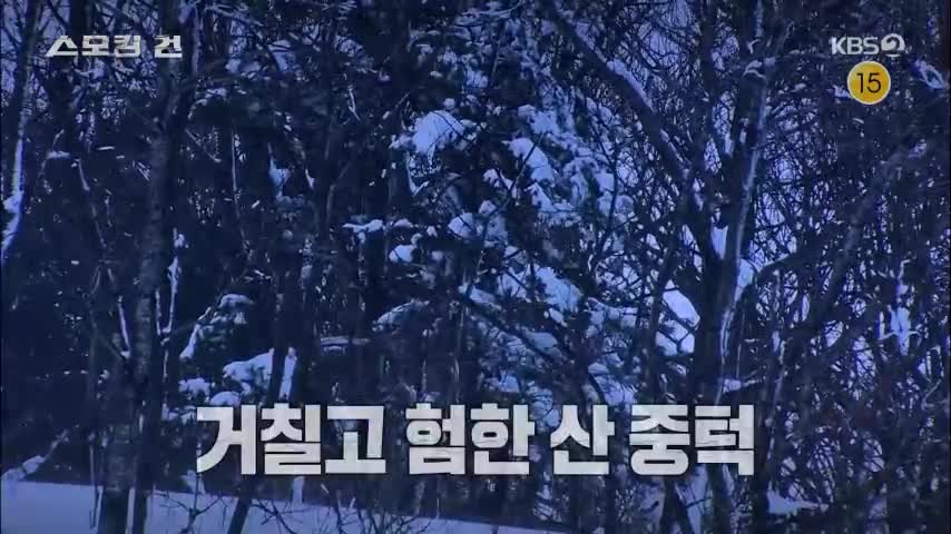 과학수사대 스모킹건 2026-07-28