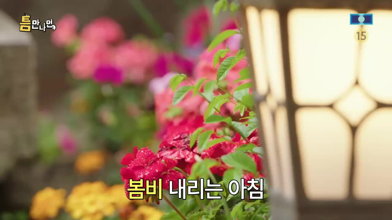 틈만나면 2025-06-10