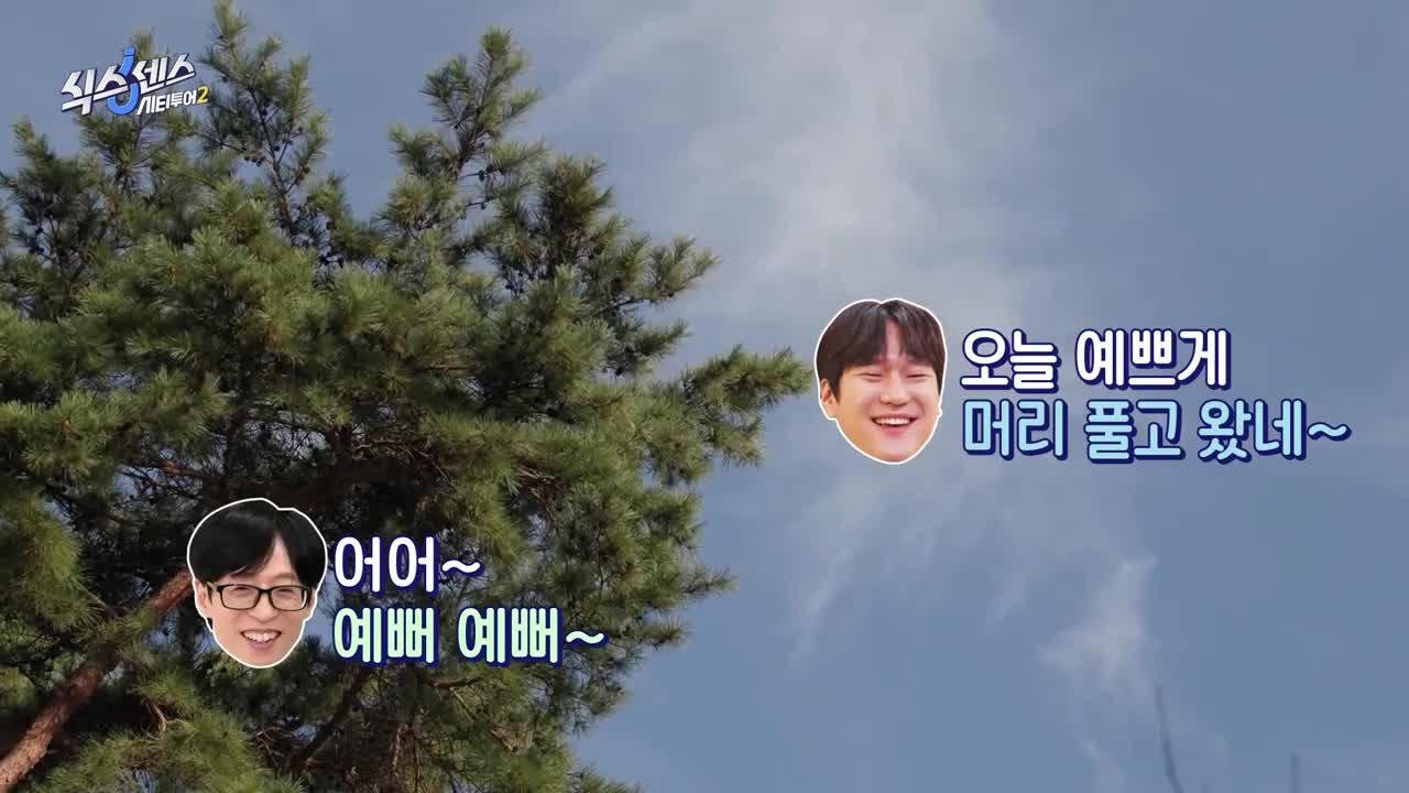 식스센스: 시티투어 2025-12-11