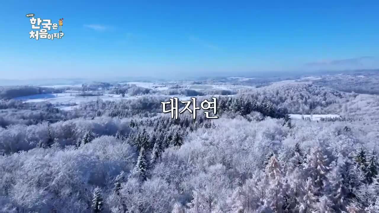 어서와~ 한국은 처음이지 시즌2 2026-04-23