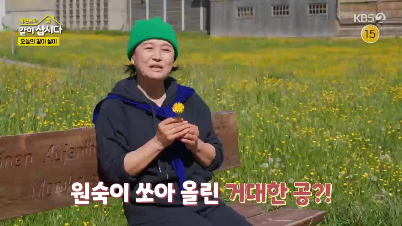 박원숙의 같이 삽시다 3 2025-06-16