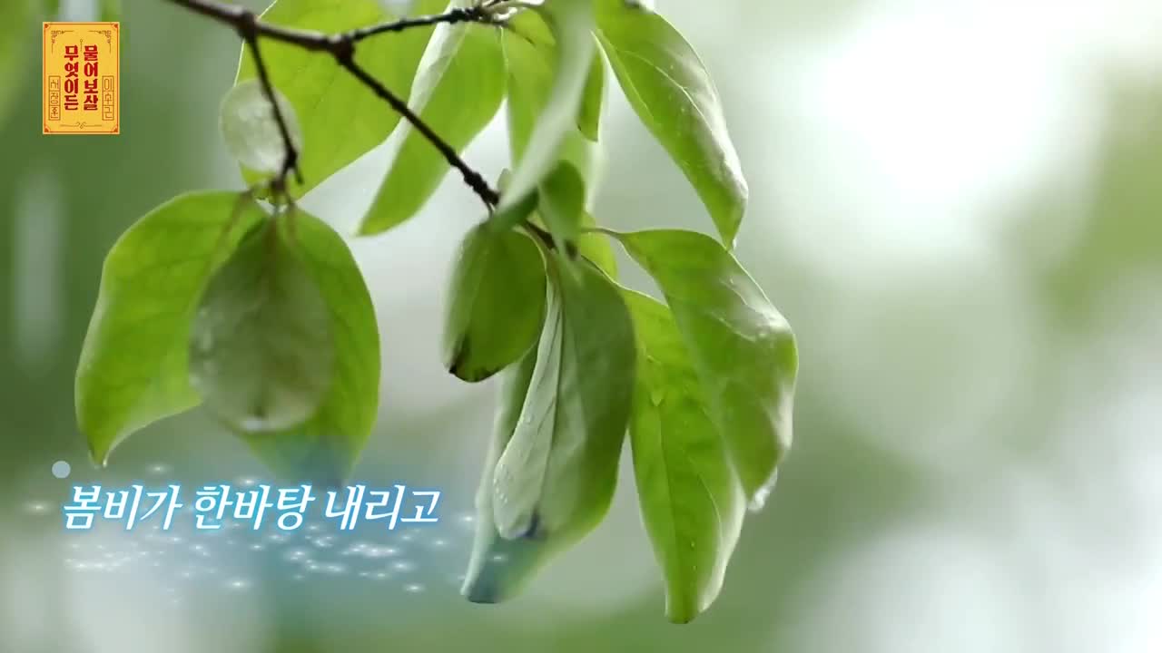 무엇이든 물어보살 제314회