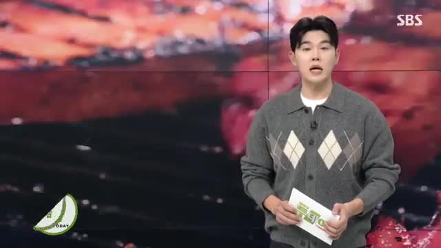 생방송 투데이 2025-11-24