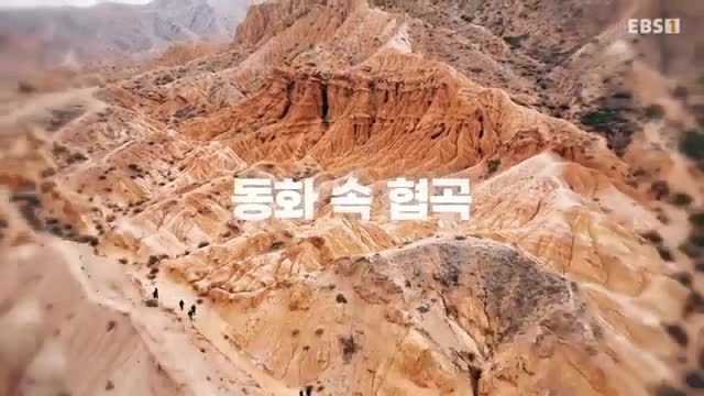 세계테마기행 2025-12-02