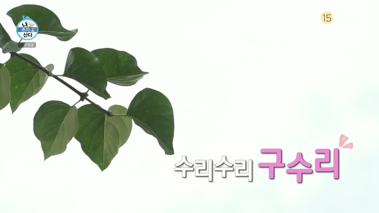 나혼자 산다 제608회