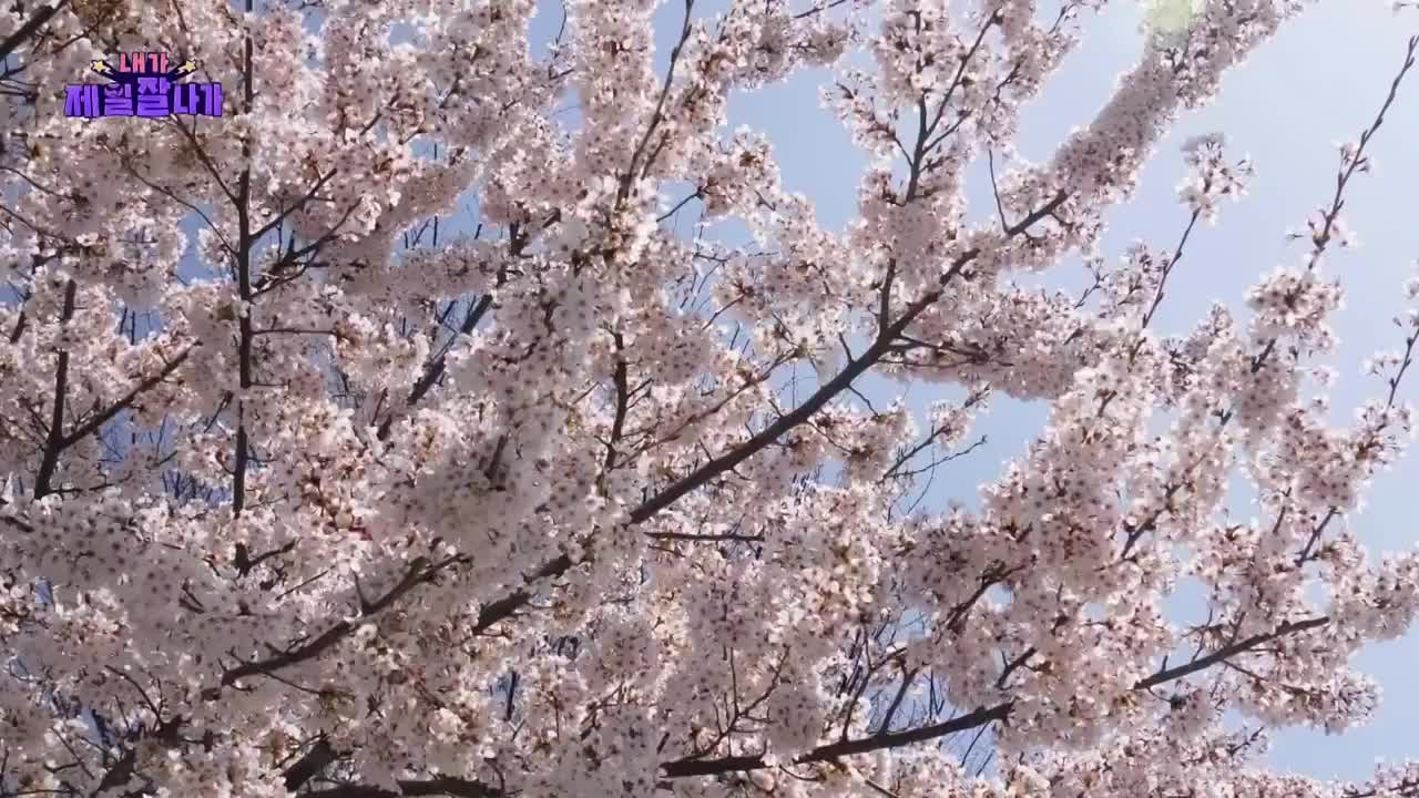 내가 제일 잘 나가 2025-04-17