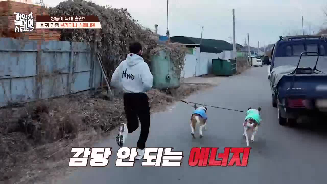 개와 늑대의 시간 시즌2 2026-04-01