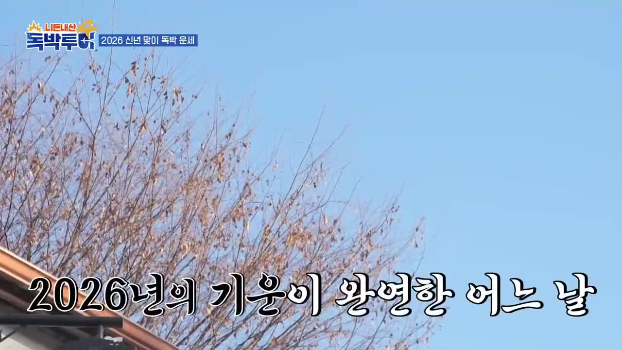 니돈내산 독박투어4 제37회 2026-02-14