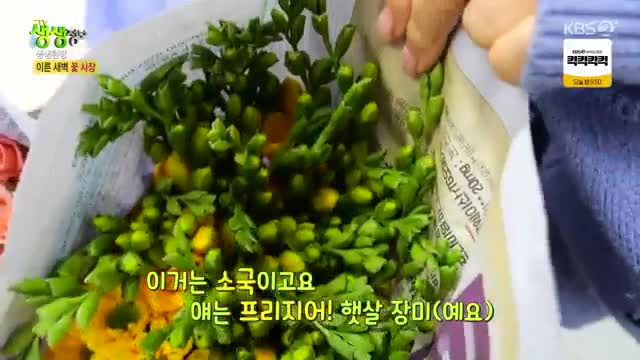 2TV 생생정보 2025-02-19