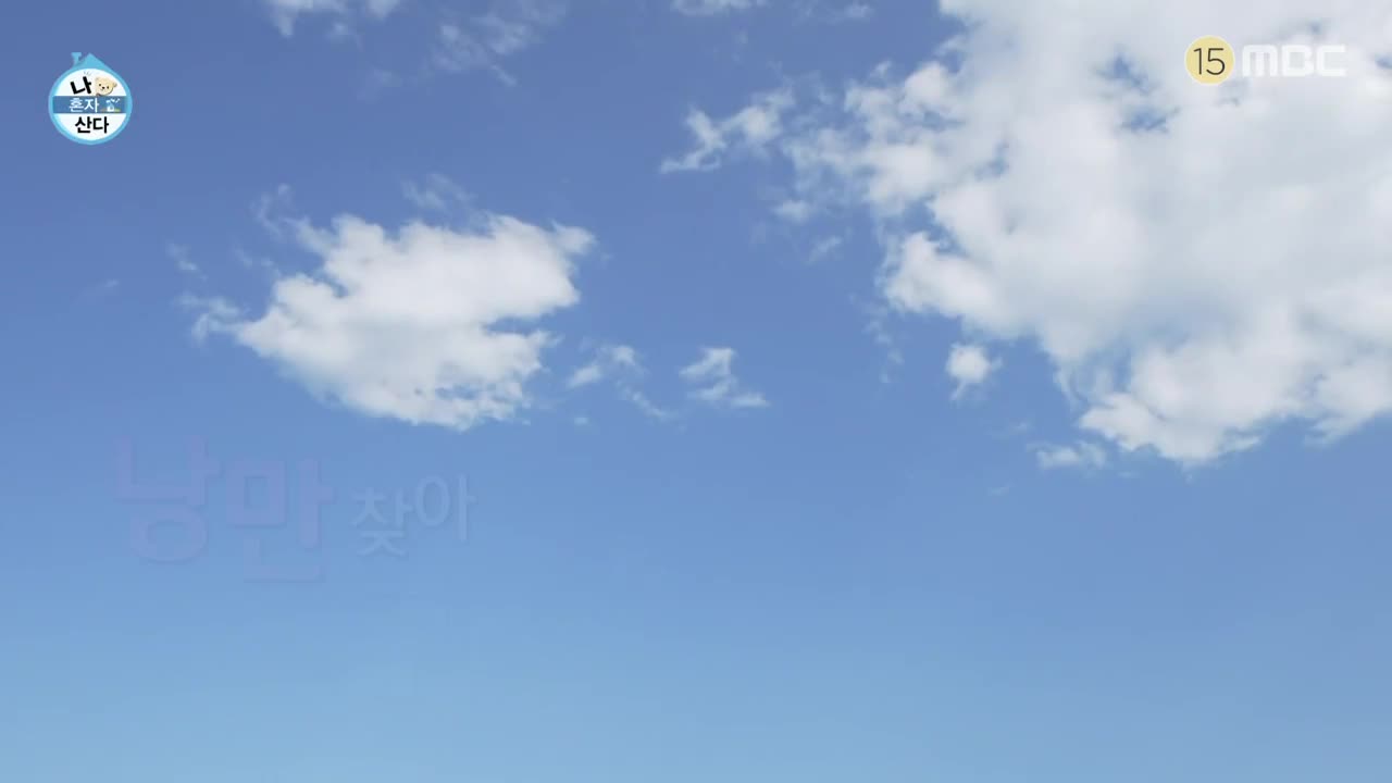 나혼자 산다 제593회