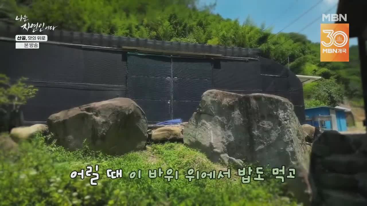 나는 자연인이다 제669회