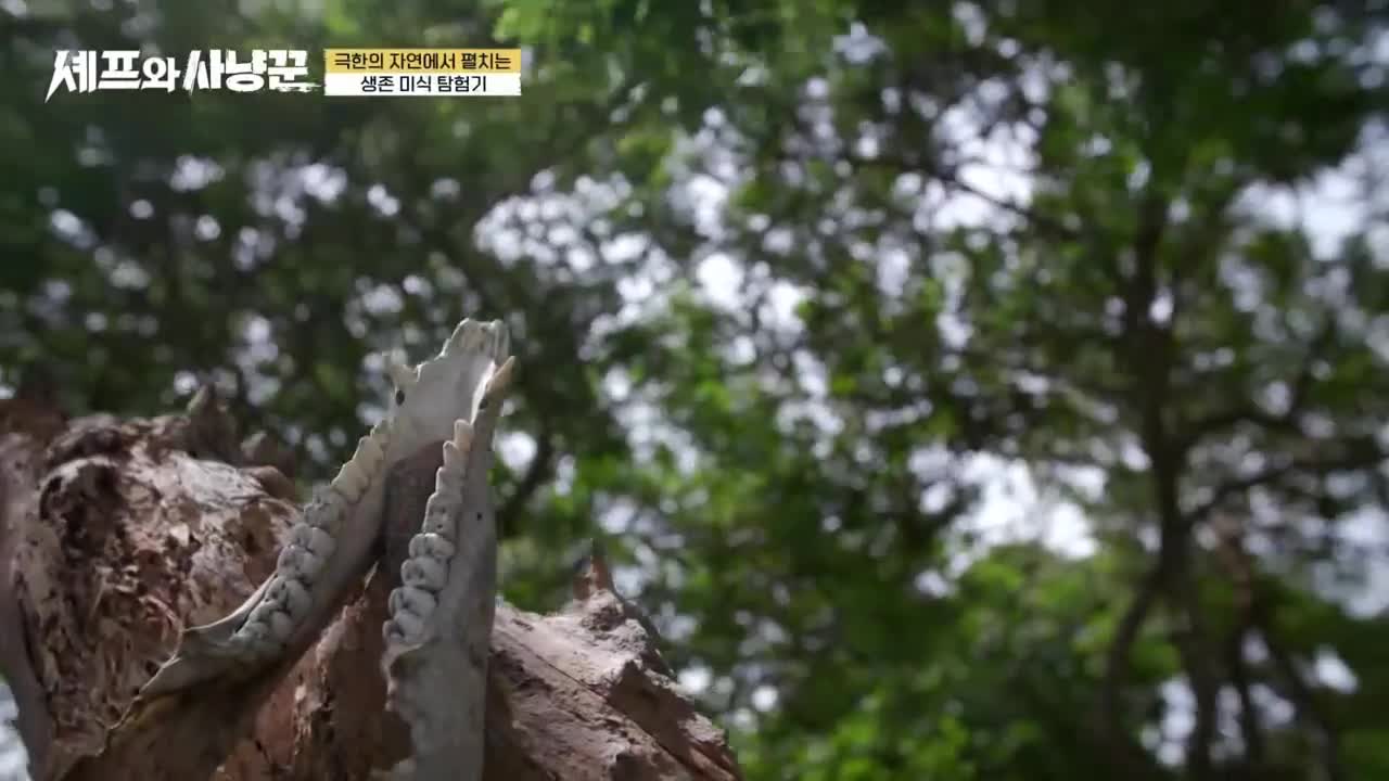 셰프와 사냥꾼 제2회