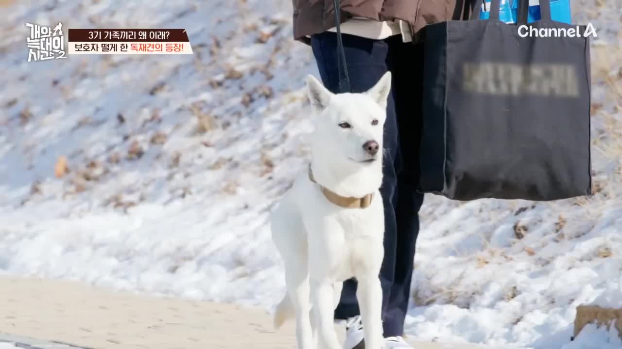 개와 늑대의 시간 시즌2 2026-03-11