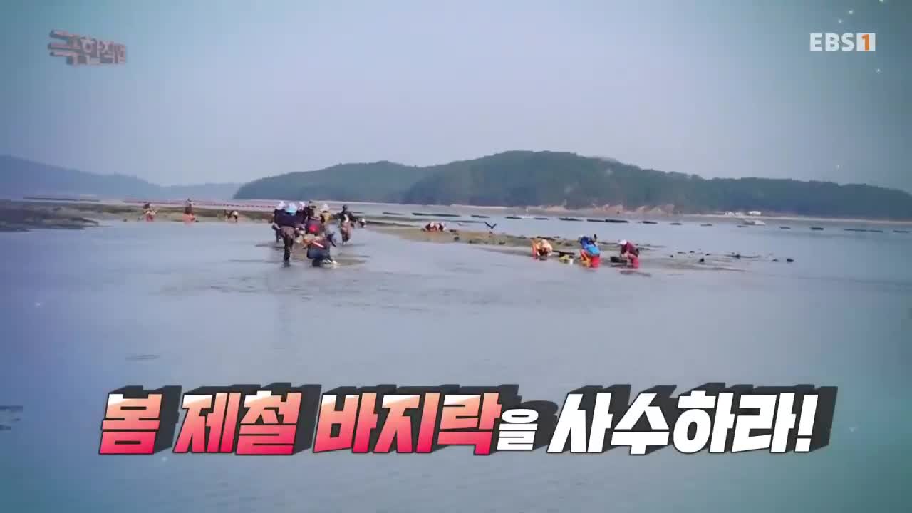 극한직업 2026-05-09