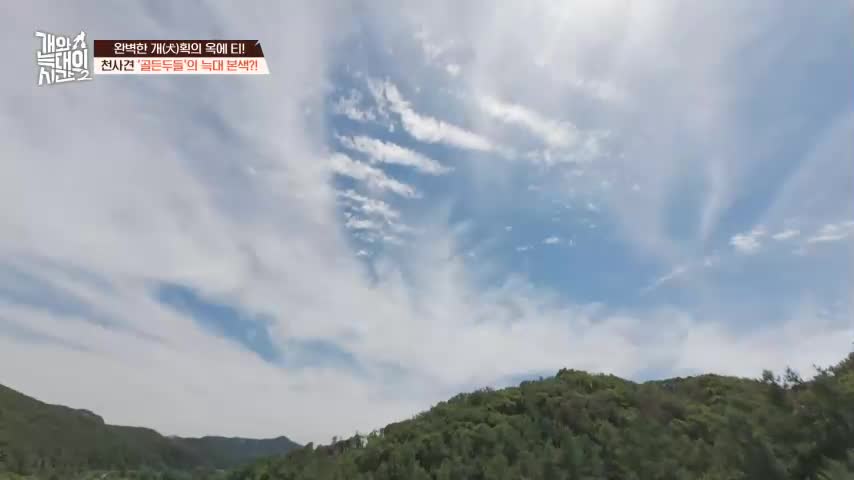 개와 늑대의 시간 시즌2 2026-08-12