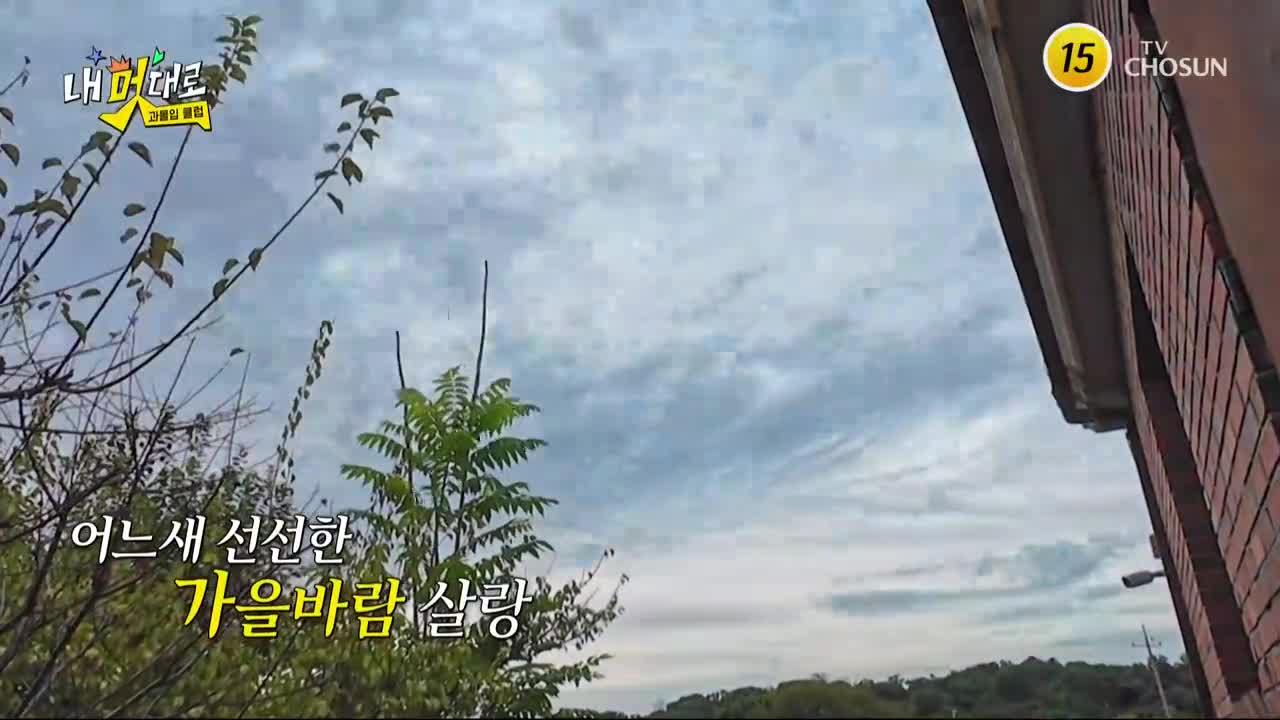 내 멋대로 - 과몰입클럽 2025-10-01