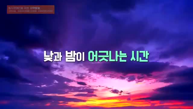 세계테마기행 2025-12-09