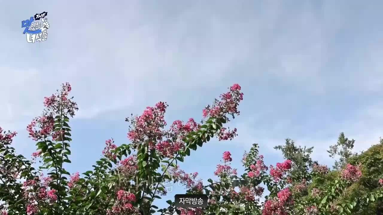 THE 맛있는 녀석들 2025-09-26