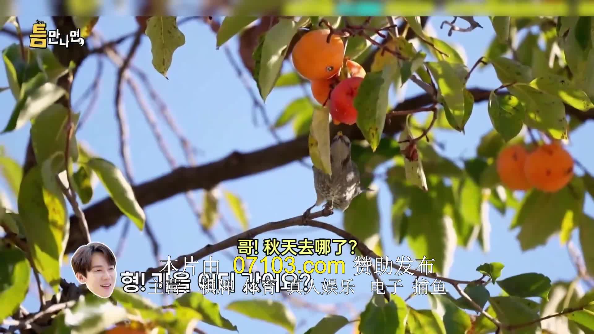틈만나면 2024-11-05