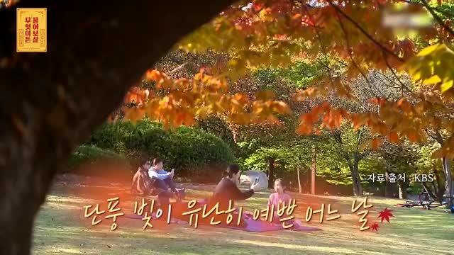 무엇이든 물어보살 2025-10-27